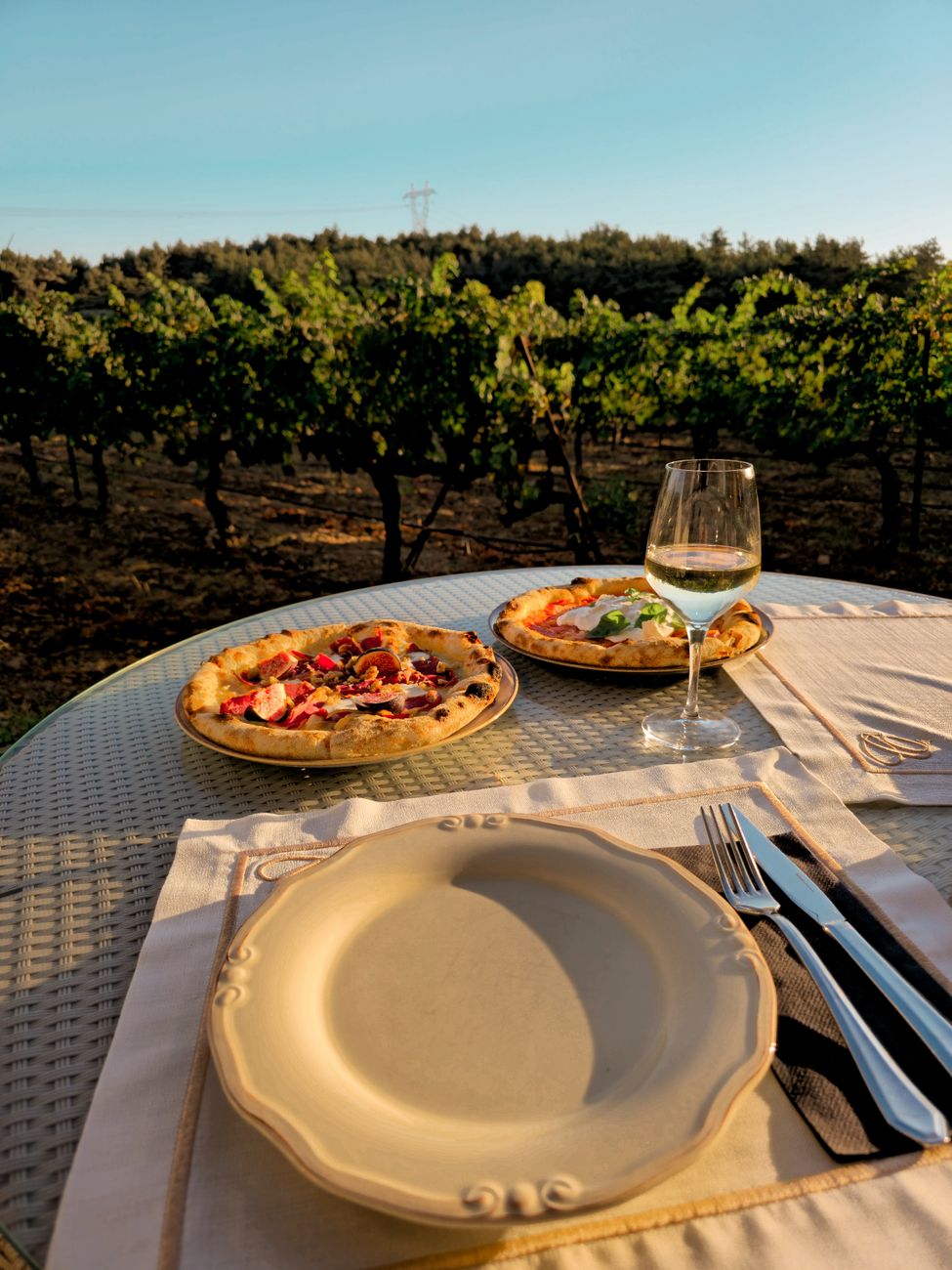 Tour œnogastronomique en Provence